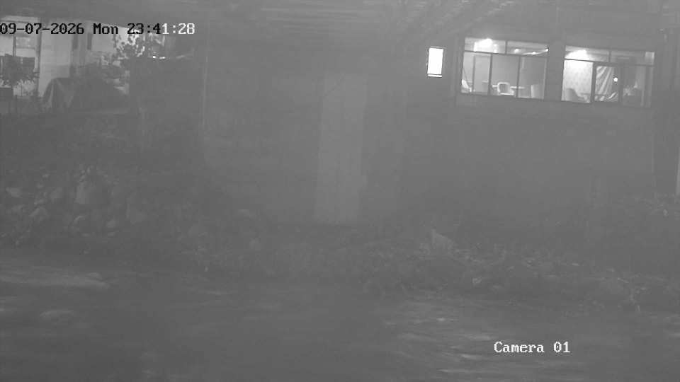 192.168.1.103_01_20260907234128285_TIMING.jpg