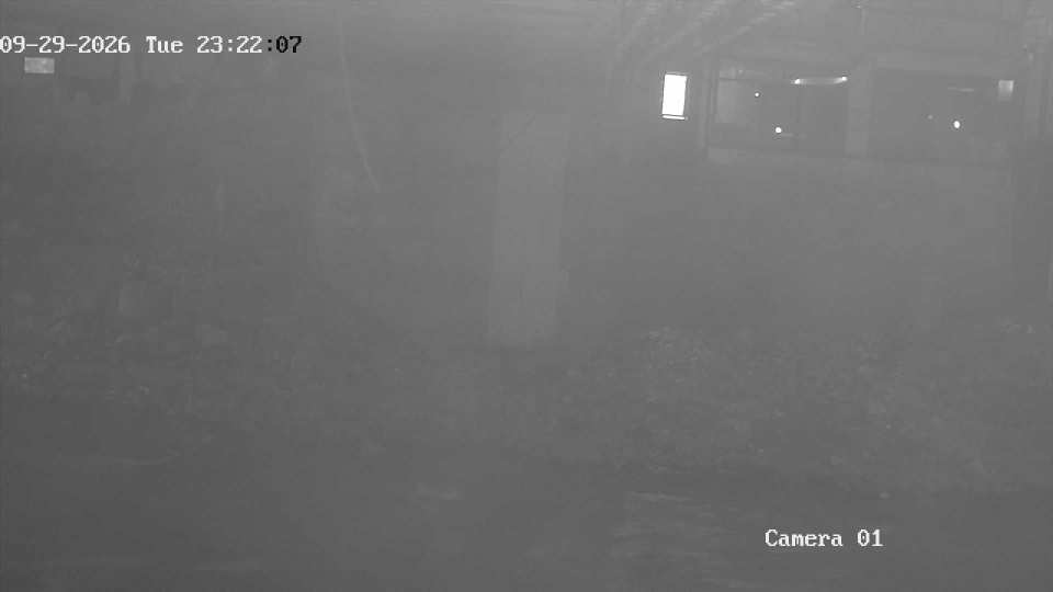 192.168.1.103_01_20260929232207311_TIMING.jpg