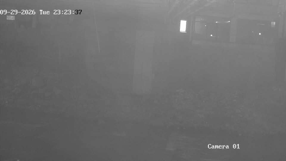 192.168.1.103_01_20260929232337284_TIMING.jpg
