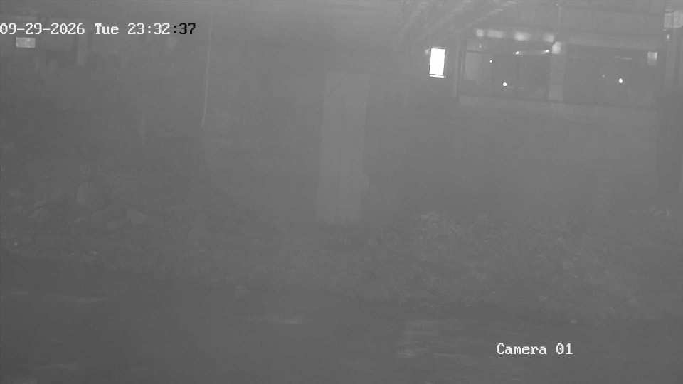 192.168.1.103_01_20260929233237306_TIMING.jpg