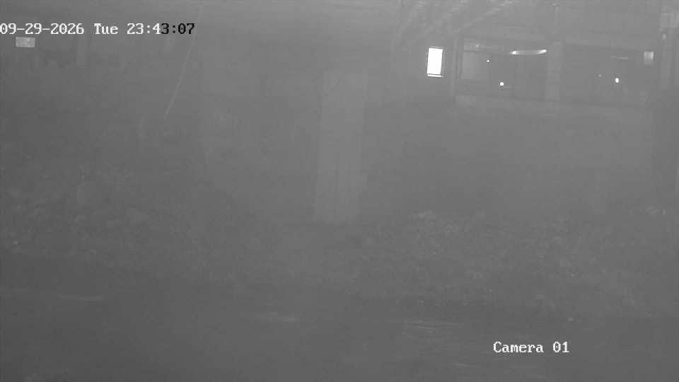 192.168.1.103_01_20260929234307298_TIMING.jpg