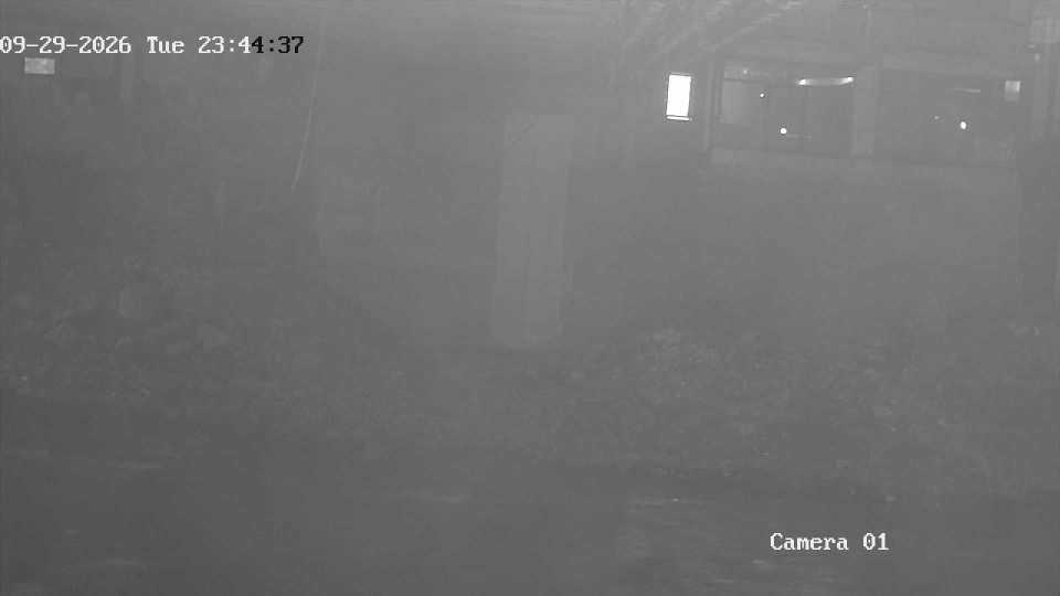 192.168.1.103_01_20260929234437317_TIMING.jpg