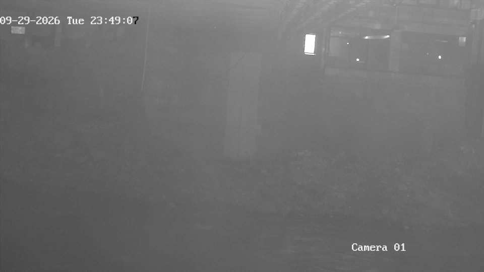 192.168.1.103_01_20260929234907282_TIMING.jpg
