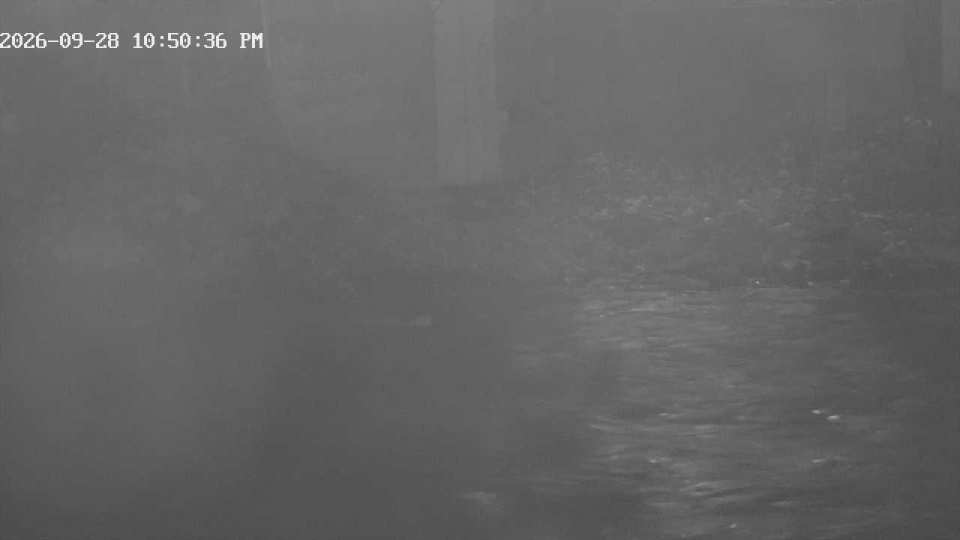 192.168.1.102_01_20260928225036761_TIMING.jpg